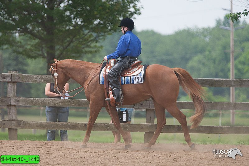 4H-1st-10-_1410.jpg