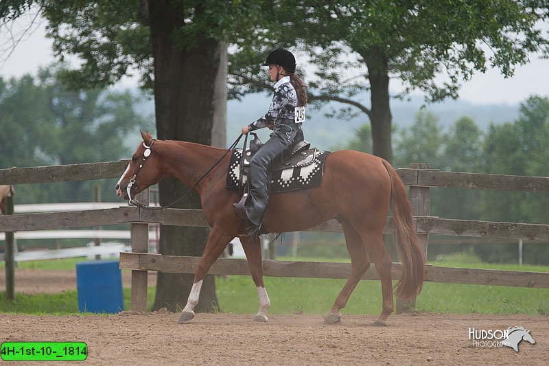 4H-1st-10-_1814.jpg