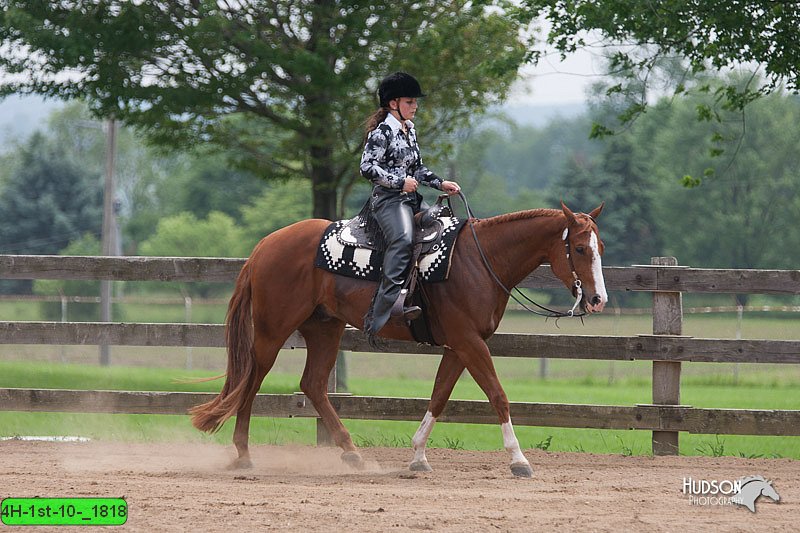 4H-1st-10-_1818.jpg