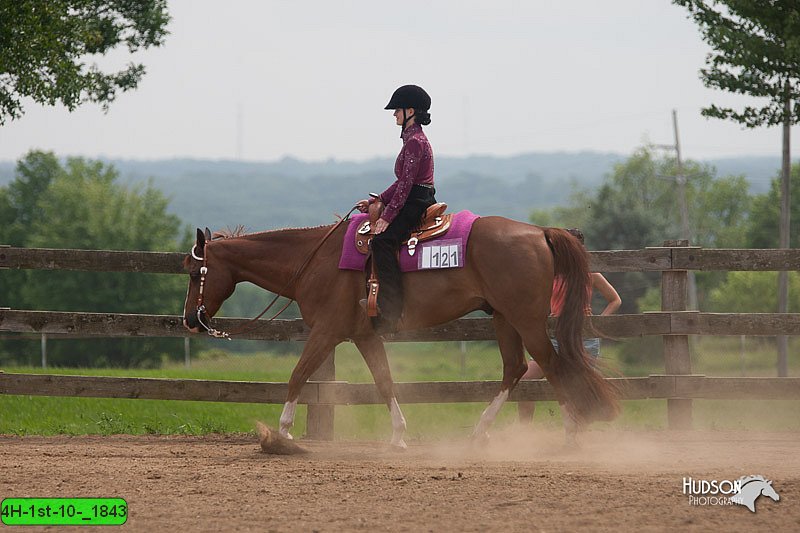 4H-1st-10-_1843.jpg