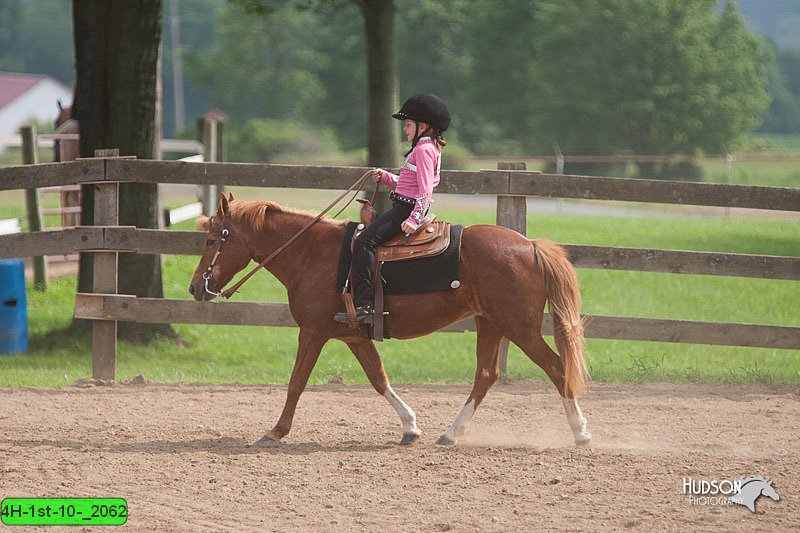 4H-1st-10-_2062.jpg