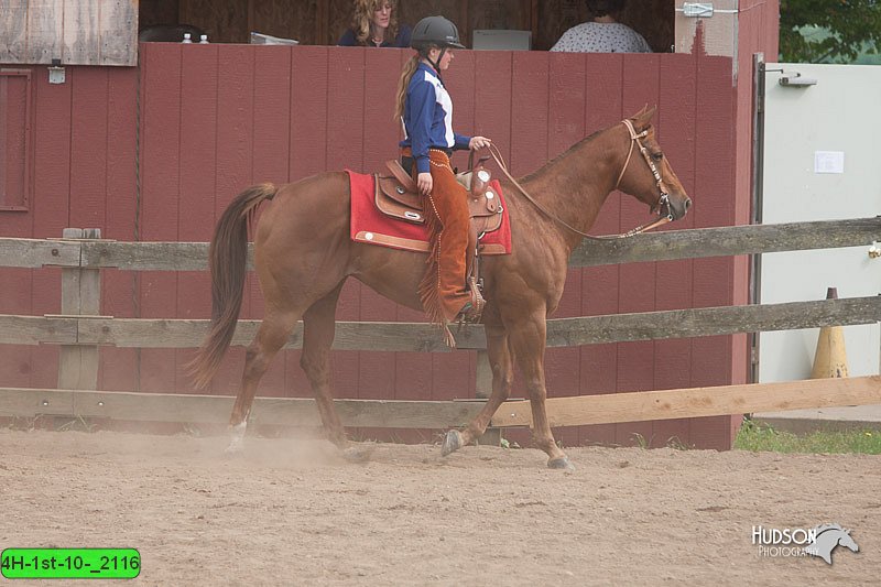 4H-1st-10-_2116.jpg