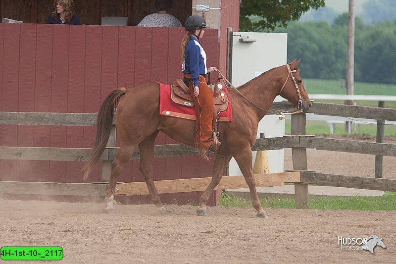 4H-1st-10-_2117.jpg