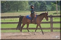 4H-1st-10-_2076.jpg
