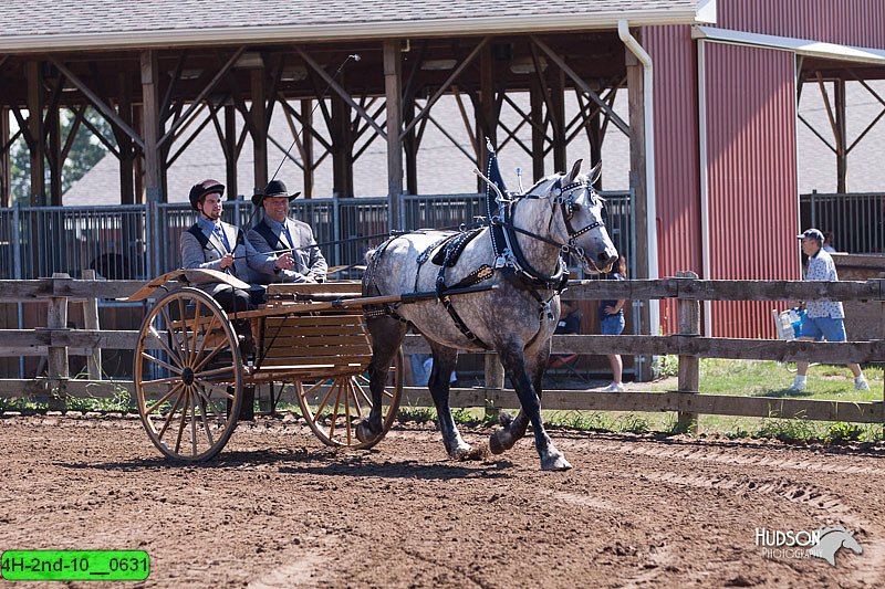 4H-2nd-10__0631.jpg