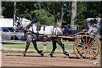 4H-2nd-10__0624.jpg