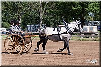 4H-2nd-10__0630.jpg