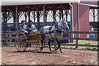 4H-2nd-10__0631.jpg