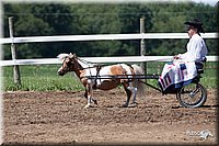 4H-2nd-10__0649.jpg