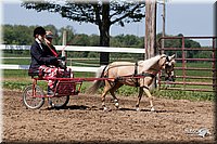 4H-2nd-10__0654.jpg