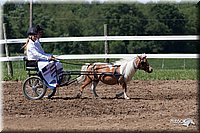 4H-2nd-10__0659.jpg