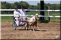 4H-2nd-10__0661.jpg