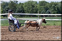 4H-2nd-10__0664.jpg