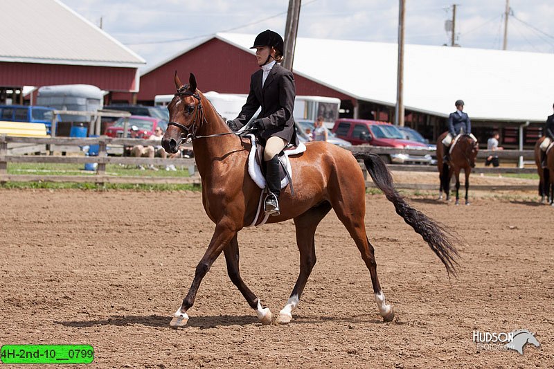 4H-2nd-10__0799.jpg