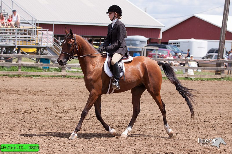 4H-2nd-10__0800.jpg