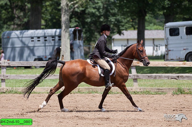 4H-2nd-10__0801.jpg