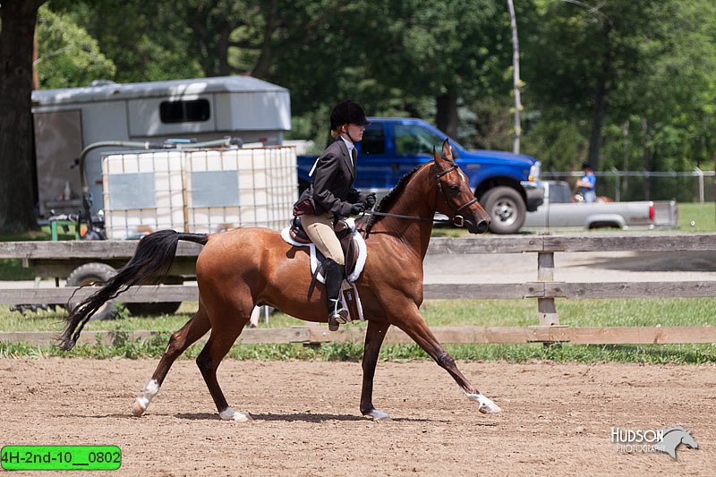 4H-2nd-10__0802.jpg