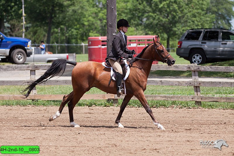 4H-2nd-10__0803.jpg