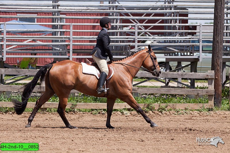4H-2nd-10__0852.jpg