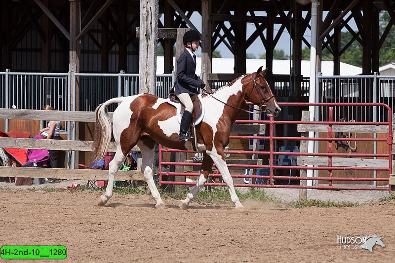4H-2nd-10__1280.jpg
