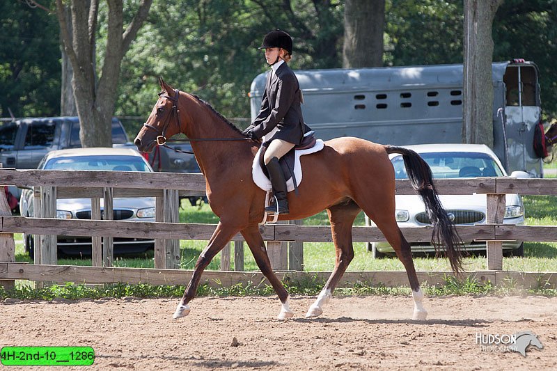4H-2nd-10__1286.jpg