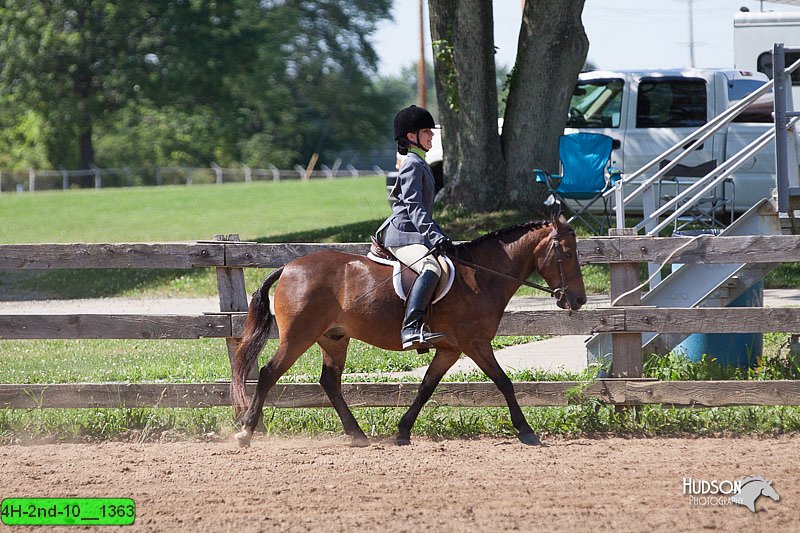 4H-2nd-10__1363.jpg