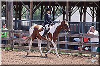 4H-2nd-10__0767.jpg