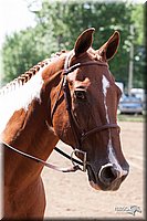 4H-2nd-10__1276.jpg