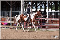 4H-2nd-10__1280.jpg