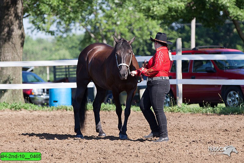 4H-2nd-10__0465.jpg