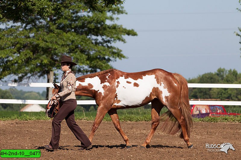 4H-2nd-10__0477.jpg