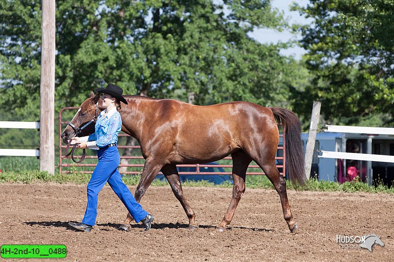 4H-2nd-10__0488.jpg