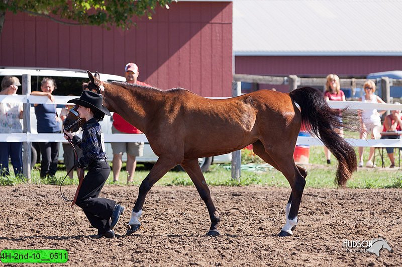 4H-2nd-10__0511.jpg