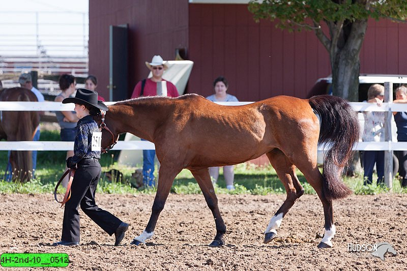 4H-2nd-10__0512.jpg