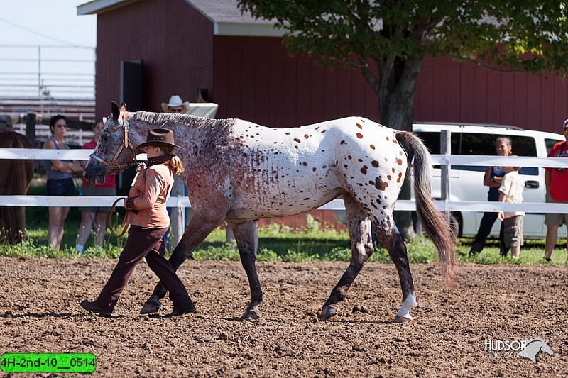 4H-2nd-10__0514.jpg