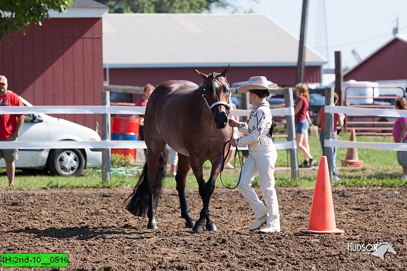 4H-2nd-10__0516.jpg