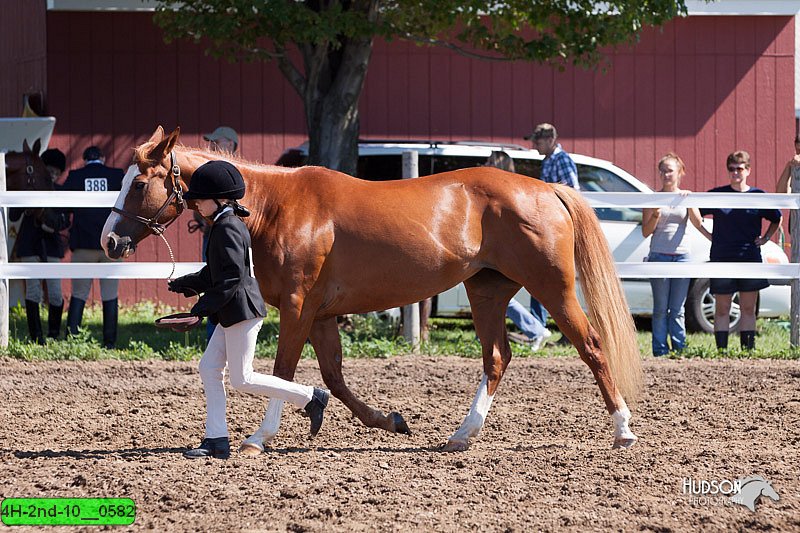 4H-2nd-10__0582.jpg