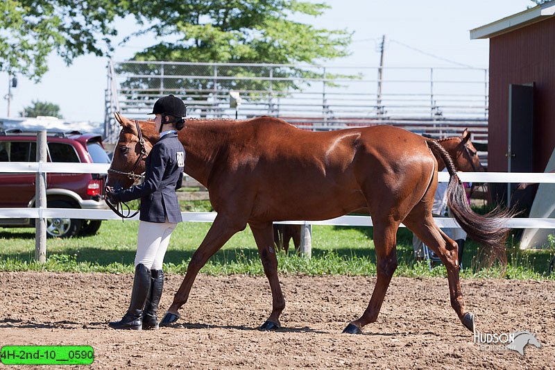 4H-2nd-10__0590.jpg