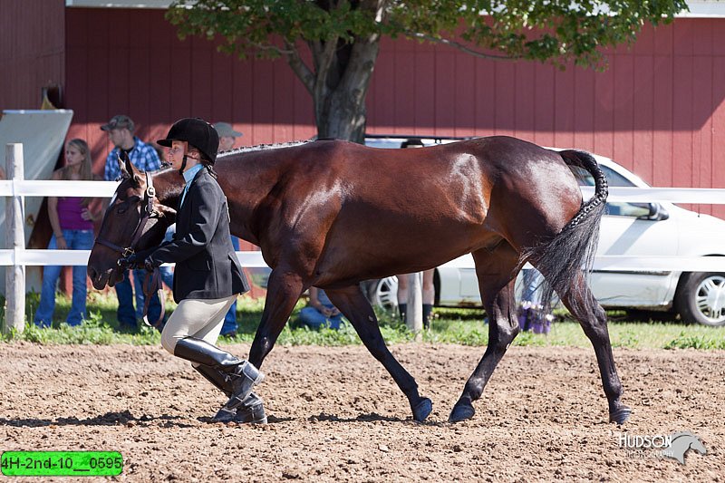4H-2nd-10__0595.jpg