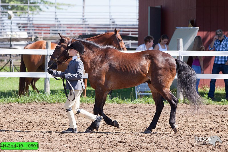 4H-2nd-10__0601.jpg