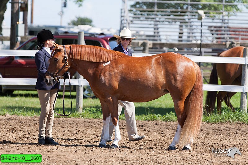 4H-2nd-10__0607.jpg