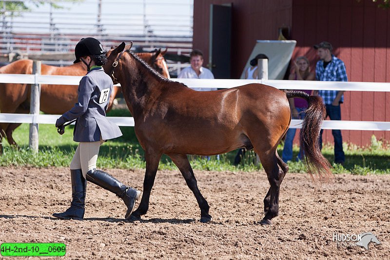 4H-2nd-10__0609.jpg