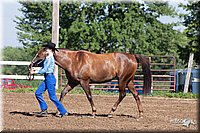 4H-2nd-10__0489.jpg