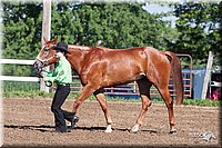 4H-2nd-10__0499.jpg