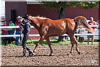 4H-2nd-10__0506.jpg