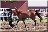 4H-2nd-10__0511.jpg