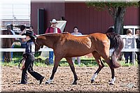 4H-2nd-10__0512.jpg