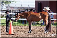 4H-2nd-10__0513.jpg