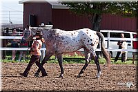4H-2nd-10__0514.jpg