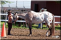 4H-2nd-10__0515.jpg